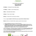 Programma del Corso Mondi dell'Islam